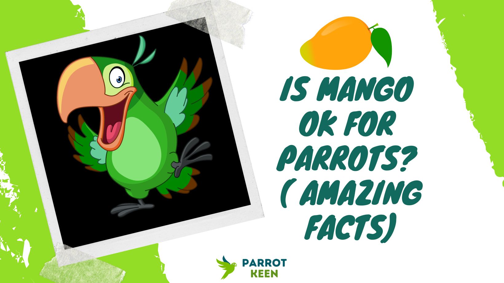 Is Mango OK for Parrots (2 Amazing Facts)