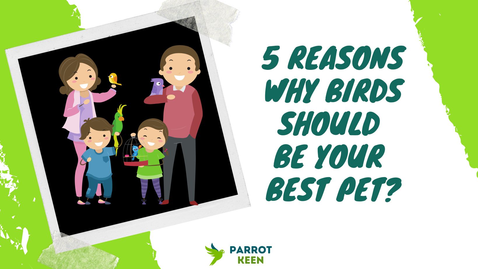 5 Reasons Why Birds Should Be Your Best