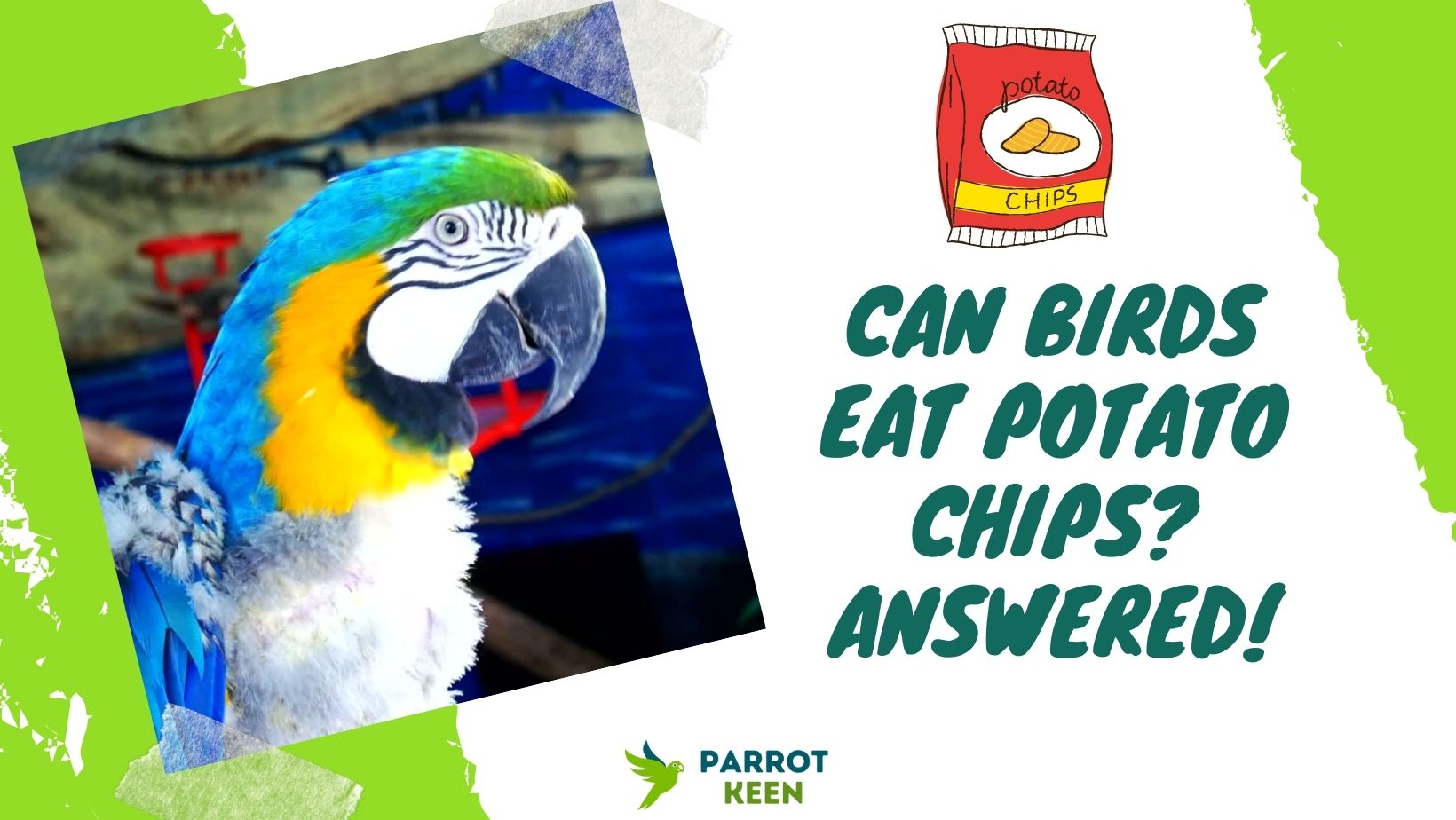 Can Birds Eat Potato Chips? The Surprising Answer