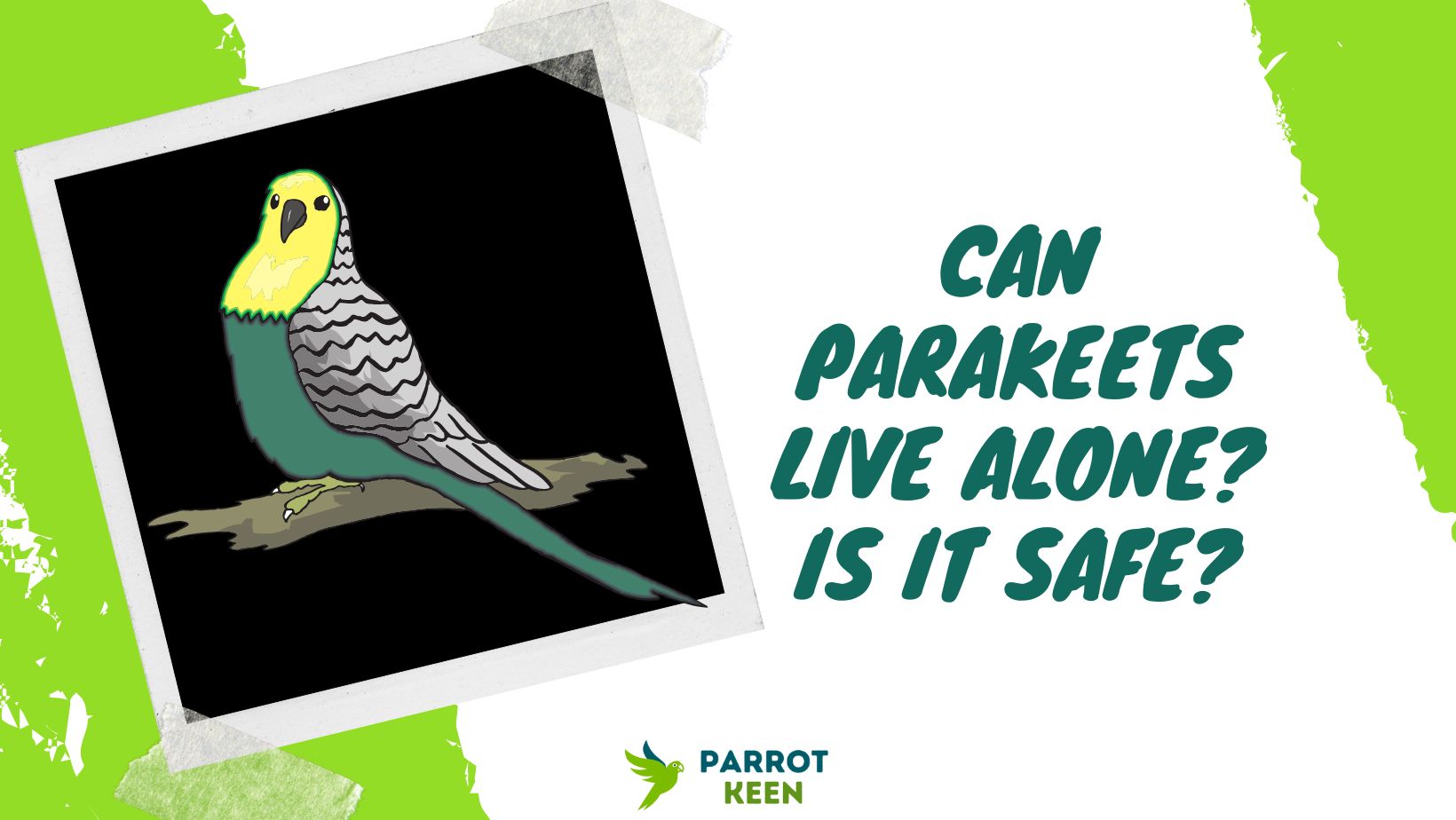 Can Parakeets Live Alone