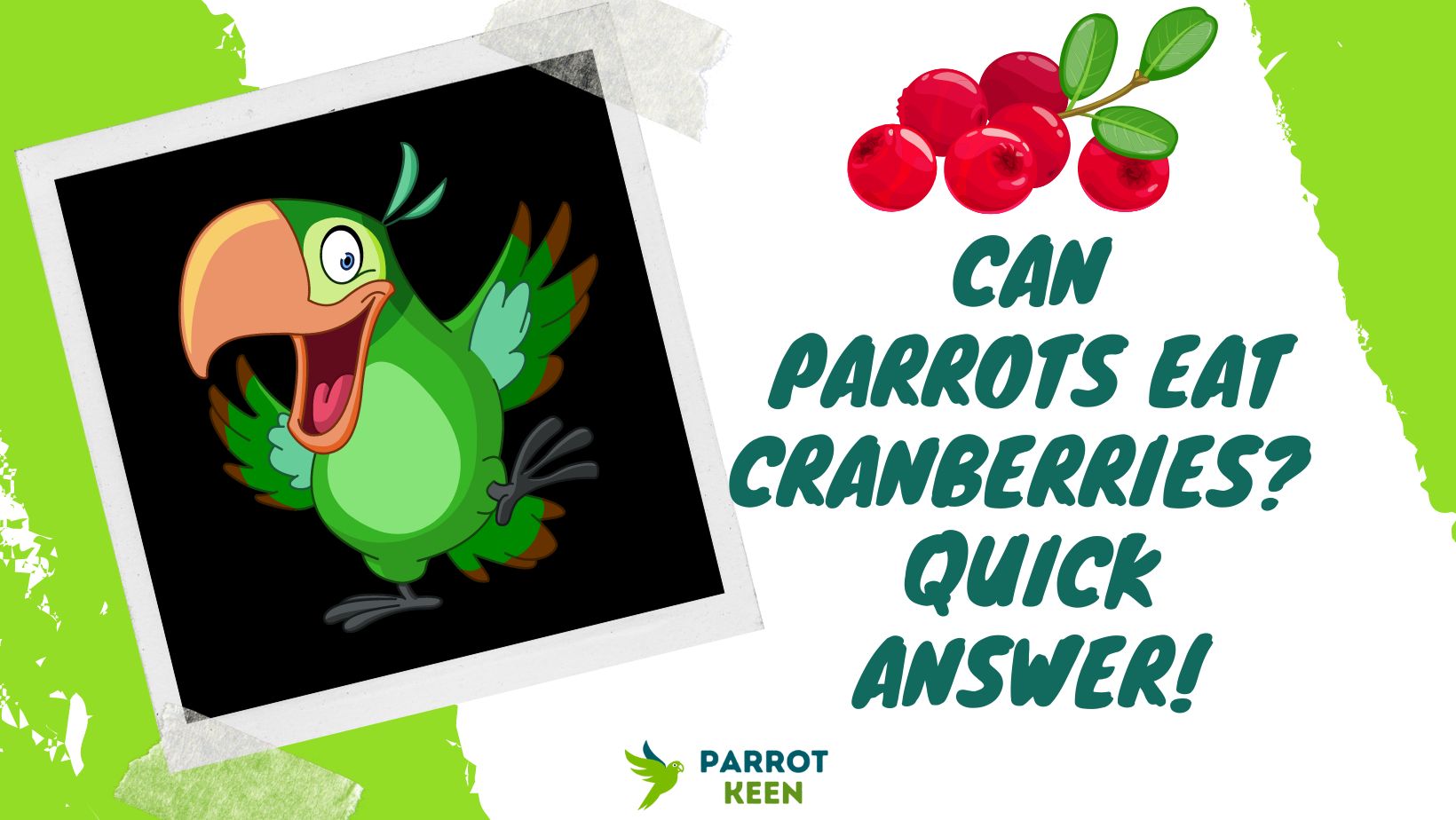 Can Parrots Eat Cranberries Quick Answer!