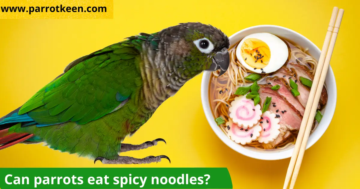 Can parrots eat spicy noodles?