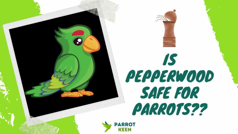 Is Pepperwood Safe For Parrots? [rEVEALED!]