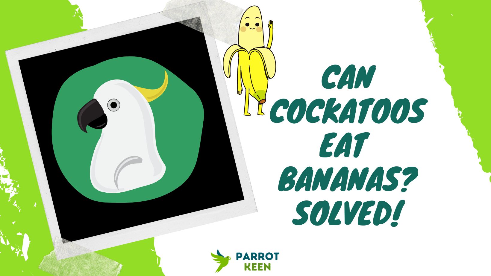 Can Cockatoos Eat Bananas