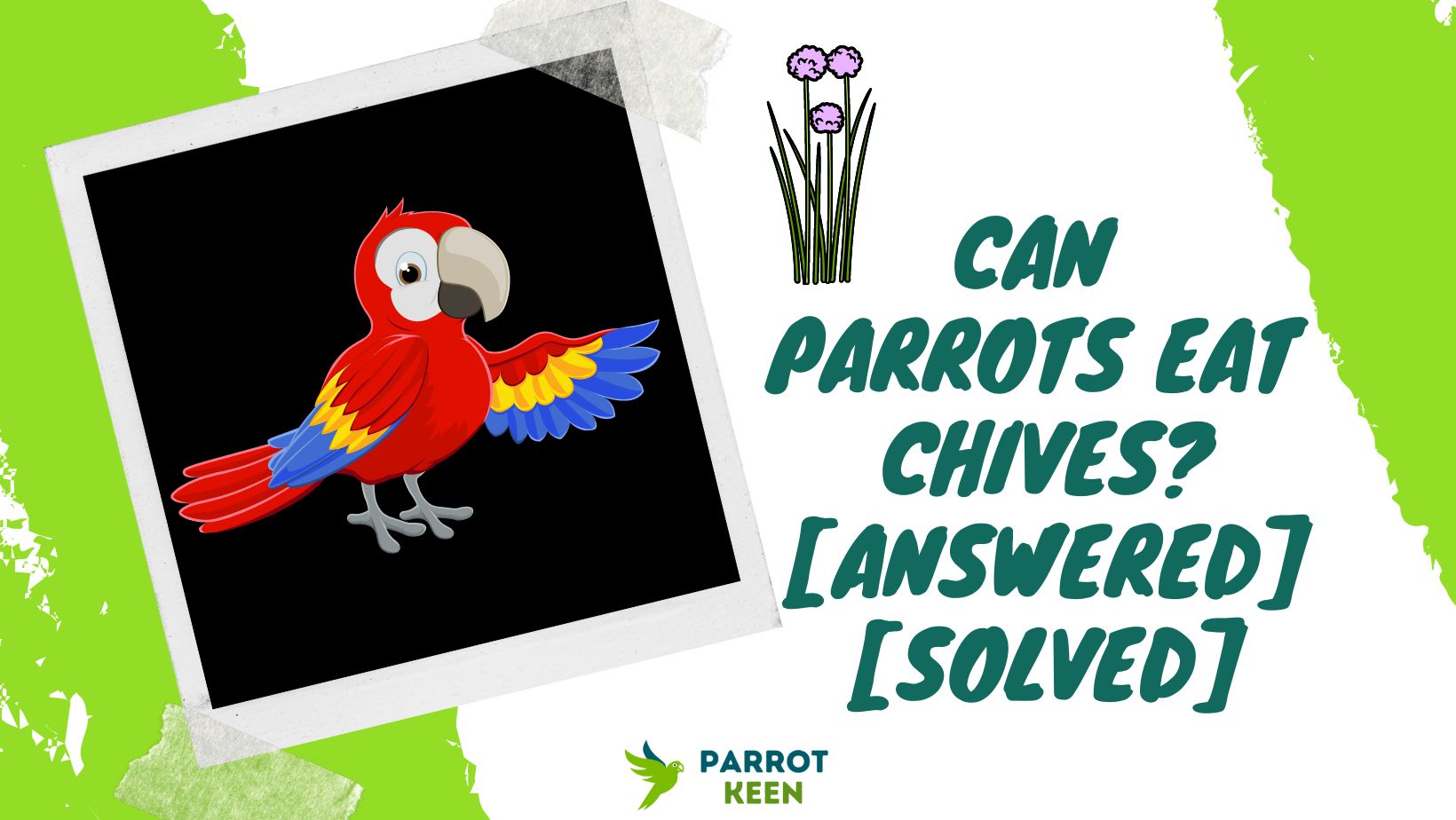 Can Parrots Eat Chives