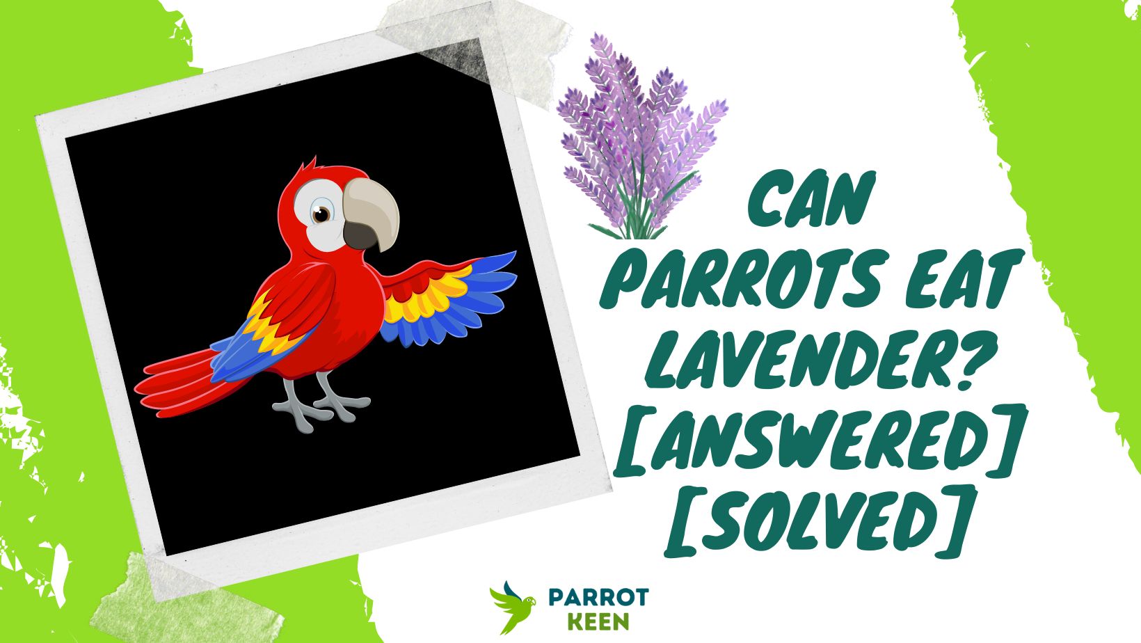 Can Parrots Eat Lavender