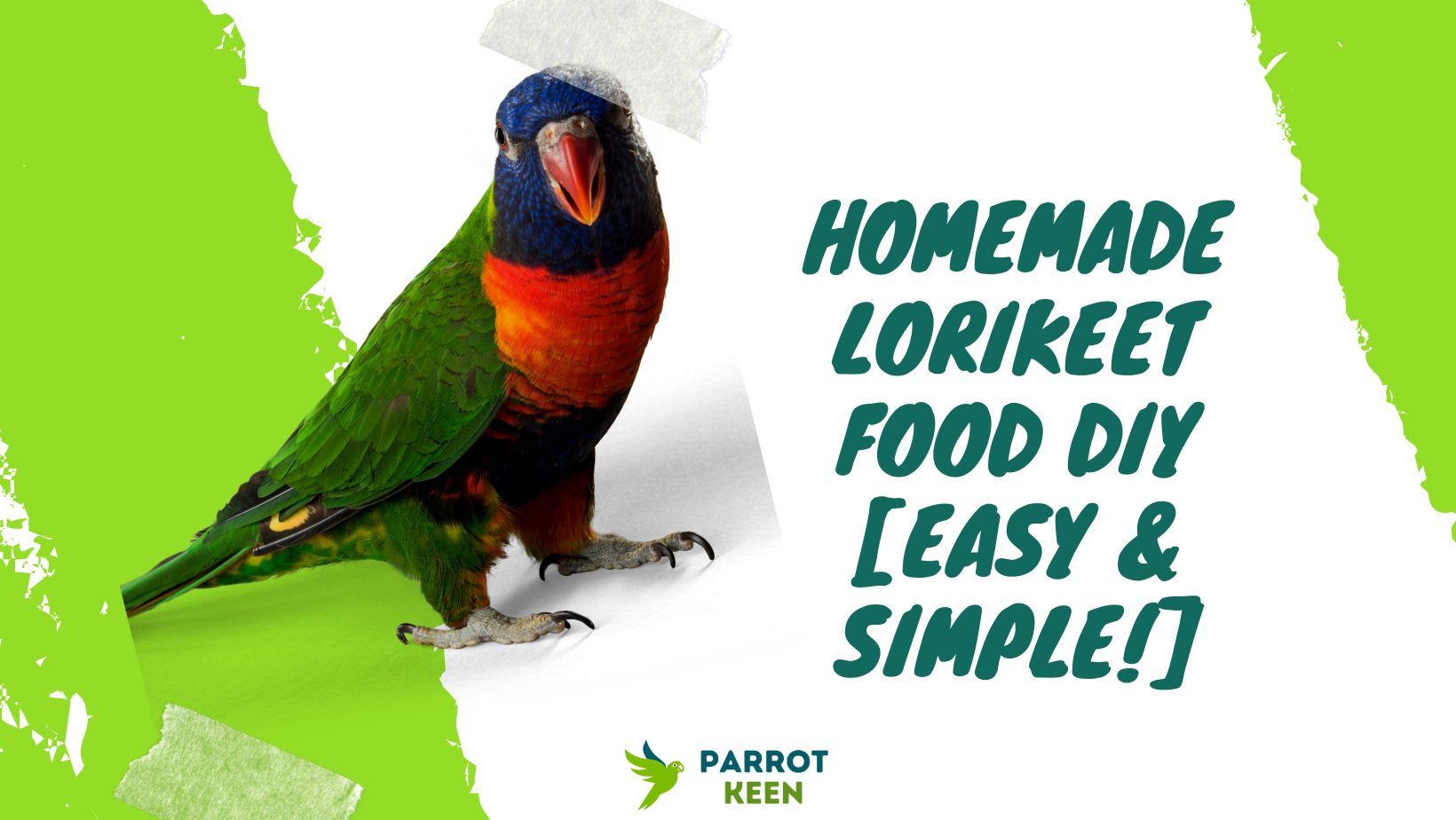 Homemade Lorikeet Food [EASY & SIMPLE!]