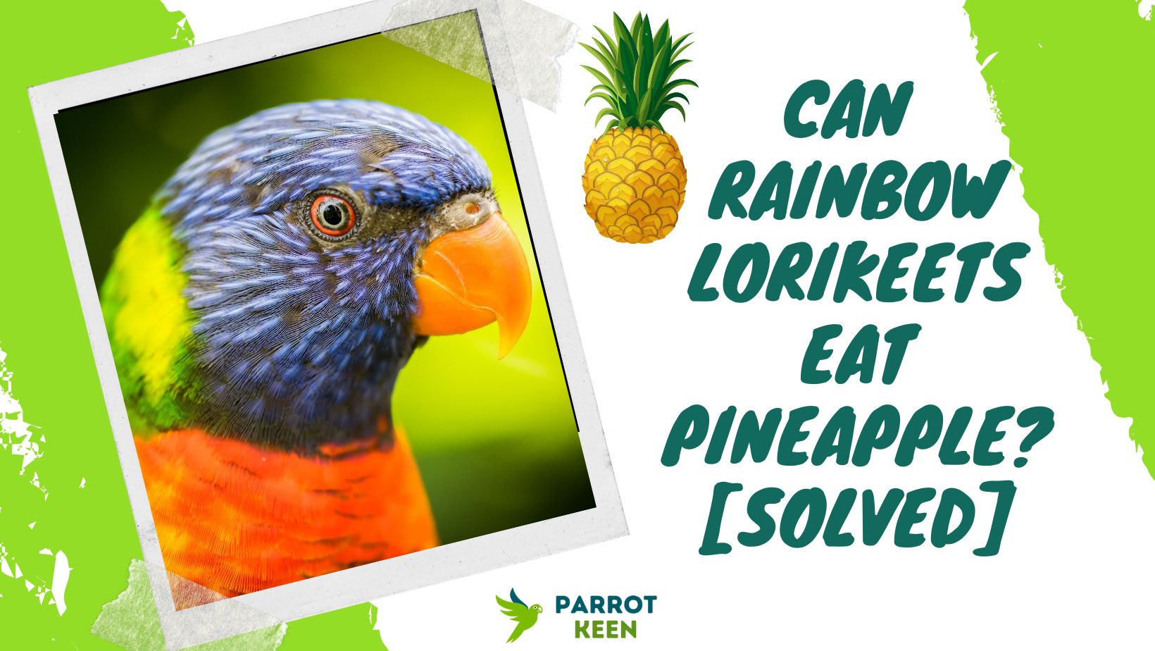 Can Rainbow Lorikeets Eat Pineapple