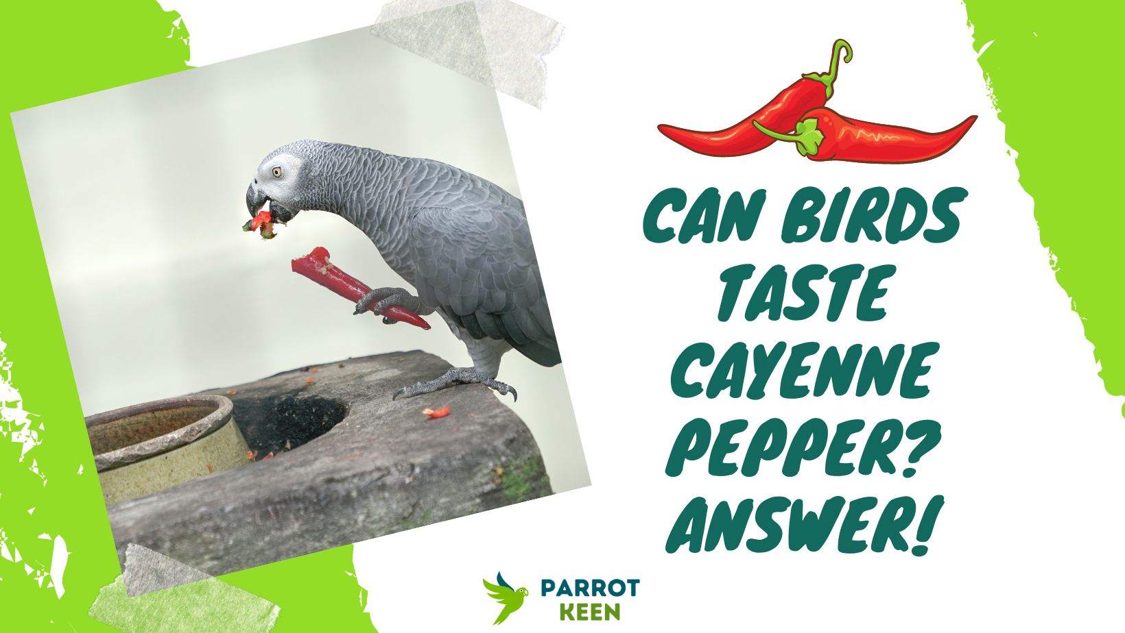 Can Birds Taste Cayenne Pepper