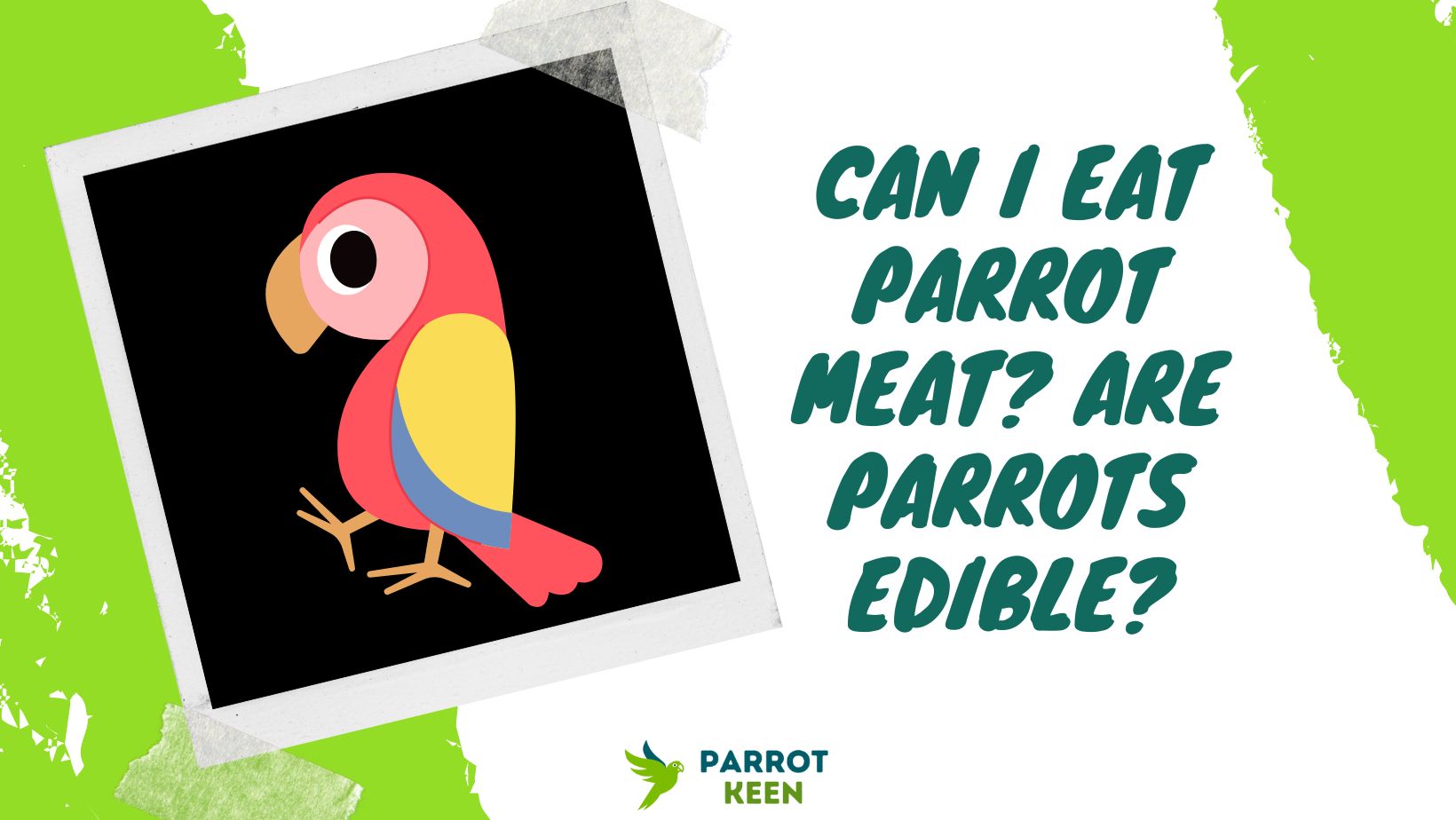 Can I Eat Parrot Meat Are Parrots Edible