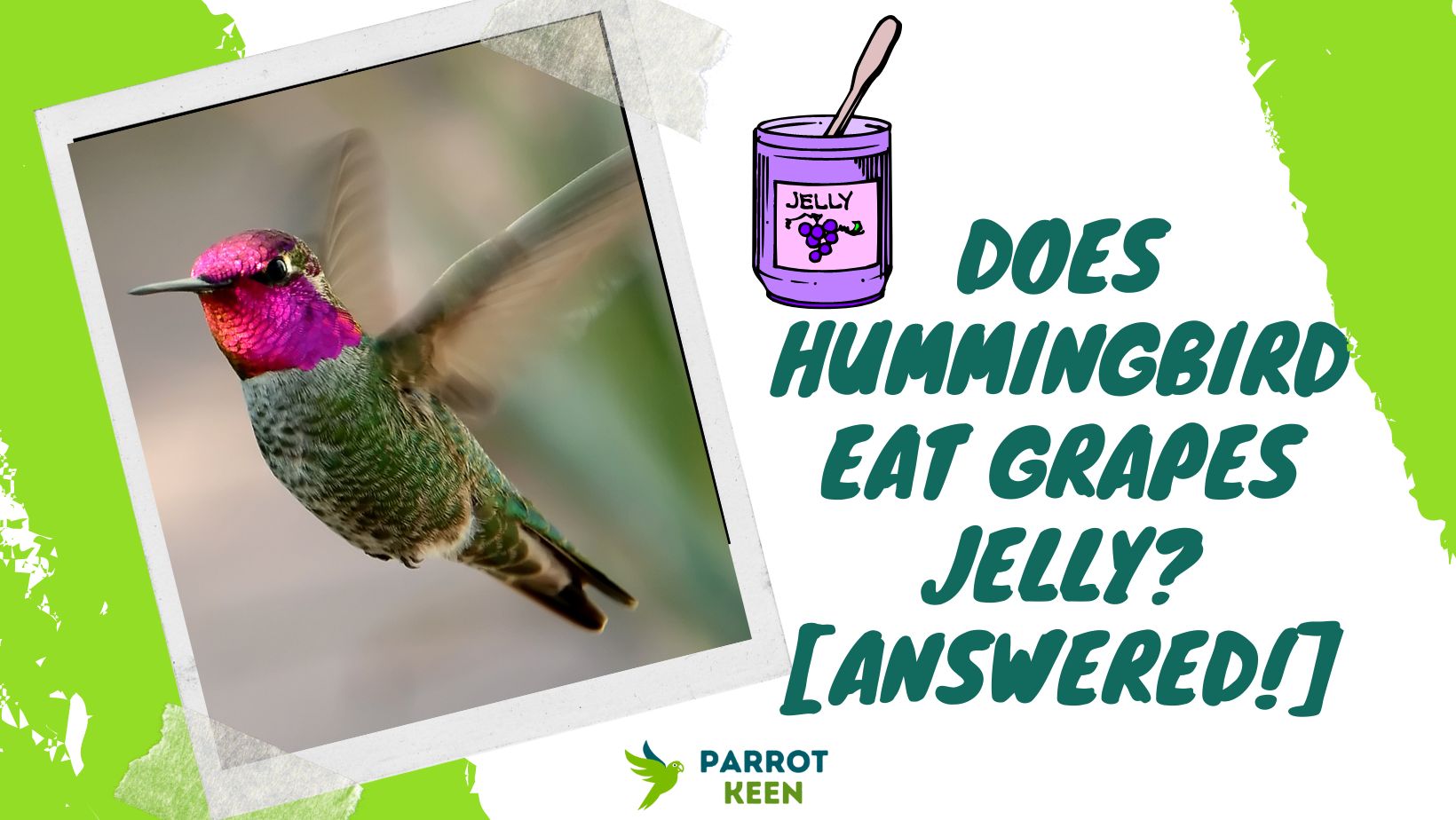 Do Hummingbirds Eat Grape Jelly[Answered!]