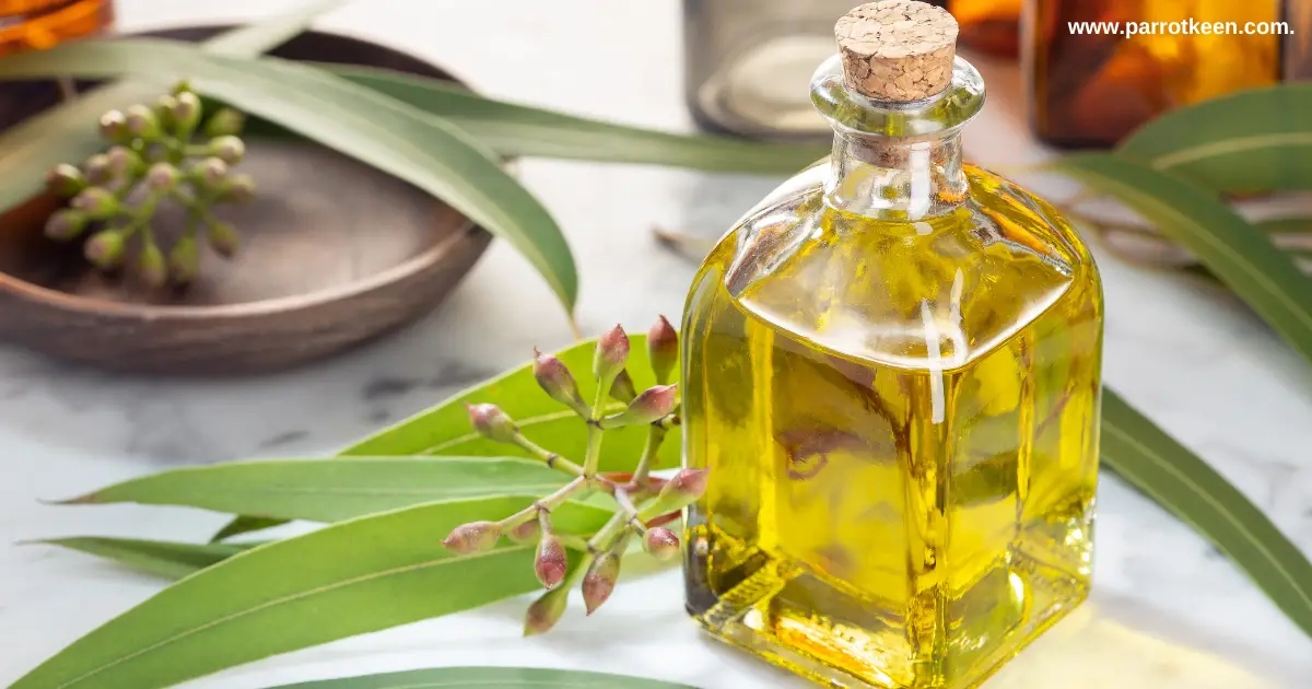 is eucalyptus oil safe for parrots