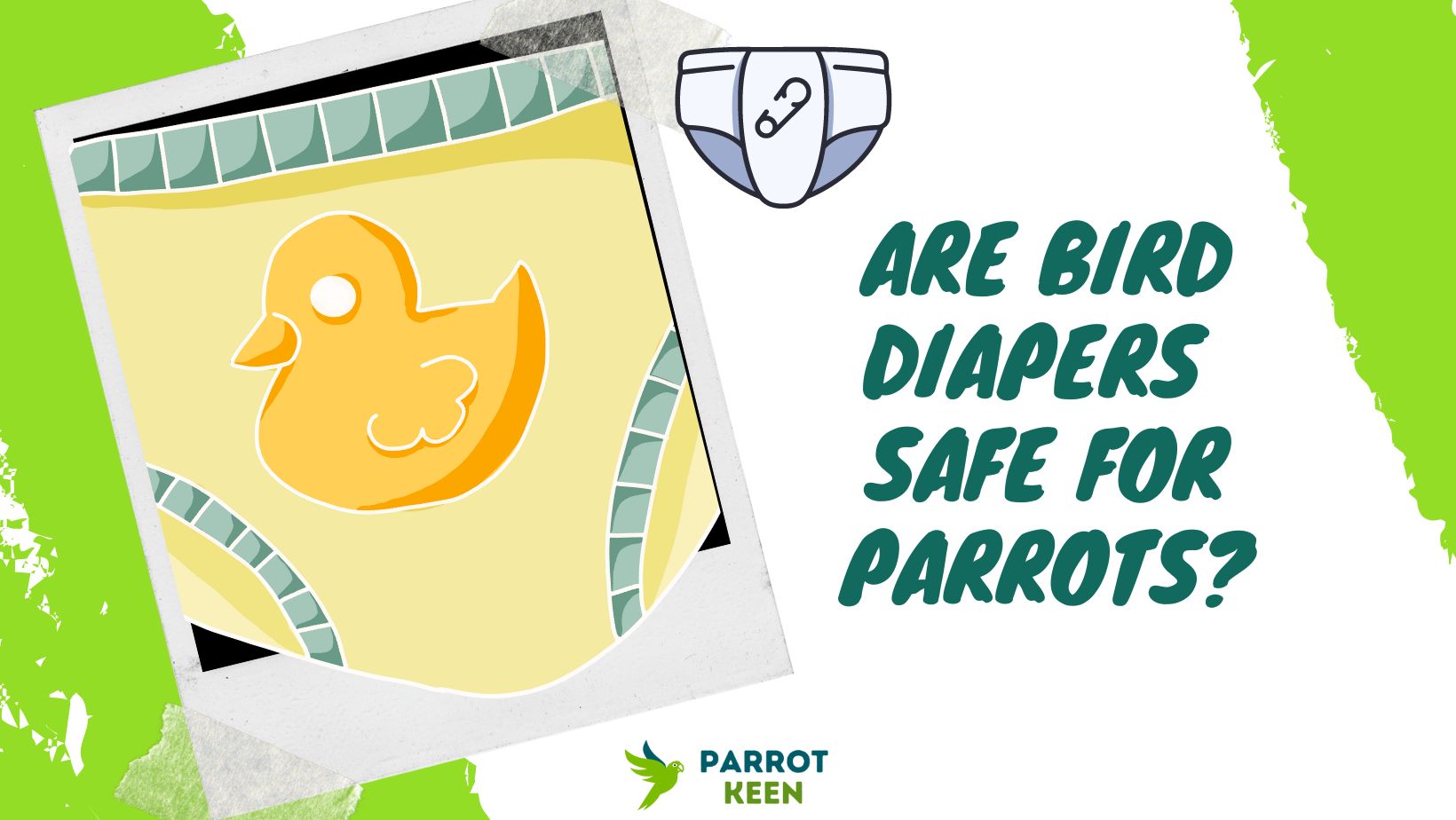 Are Bird Diapers Safe for Parrots