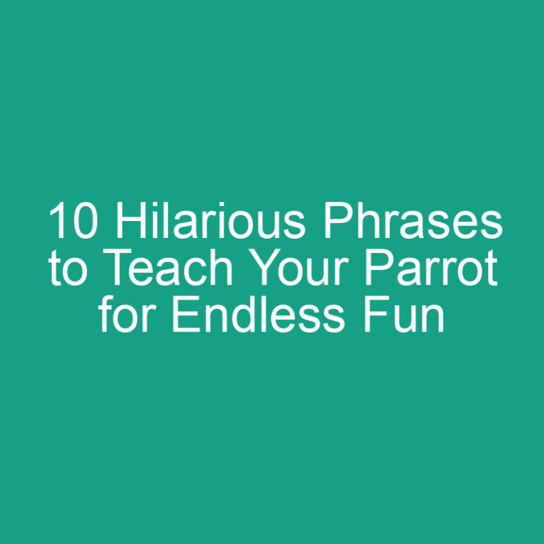 10 Hilarious Phrases to Teach Your Parrot for Endless Fun