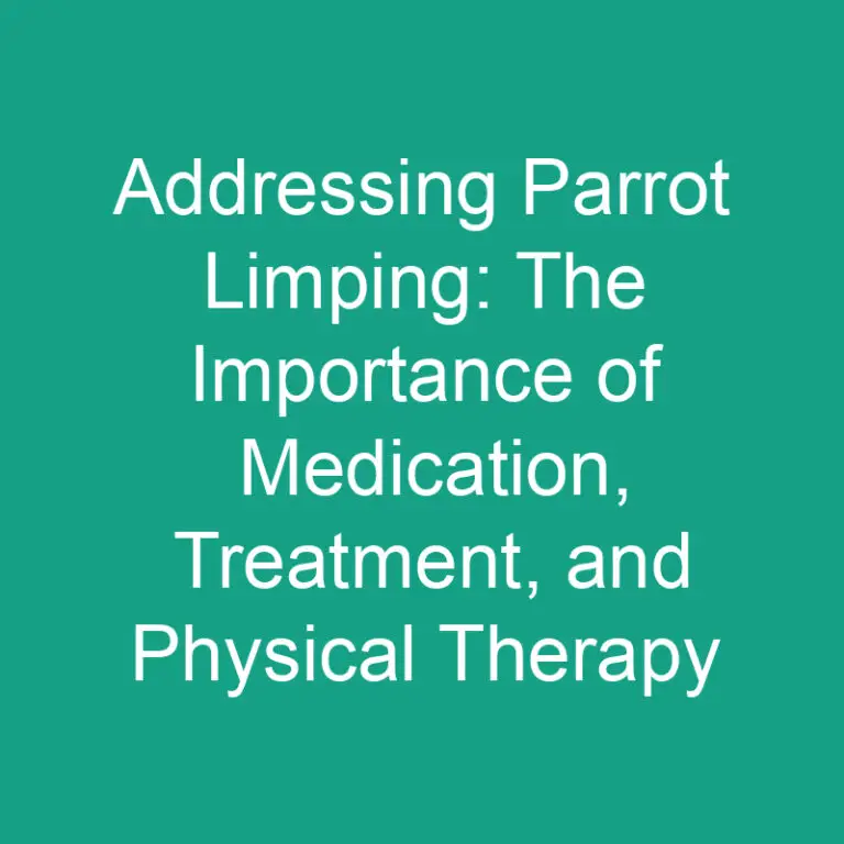 Addressing Parrot Limping: The Importance of Medication, Treatment, and Physical Therapy