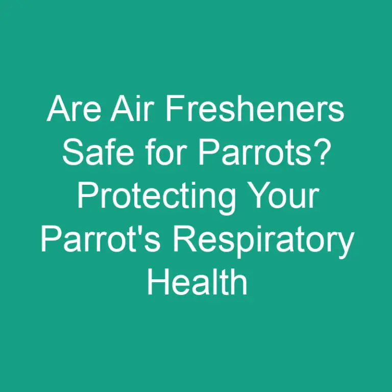 Are Air Fresheners Safe for Parrots? Protecting Your Parrot’s Respiratory Health