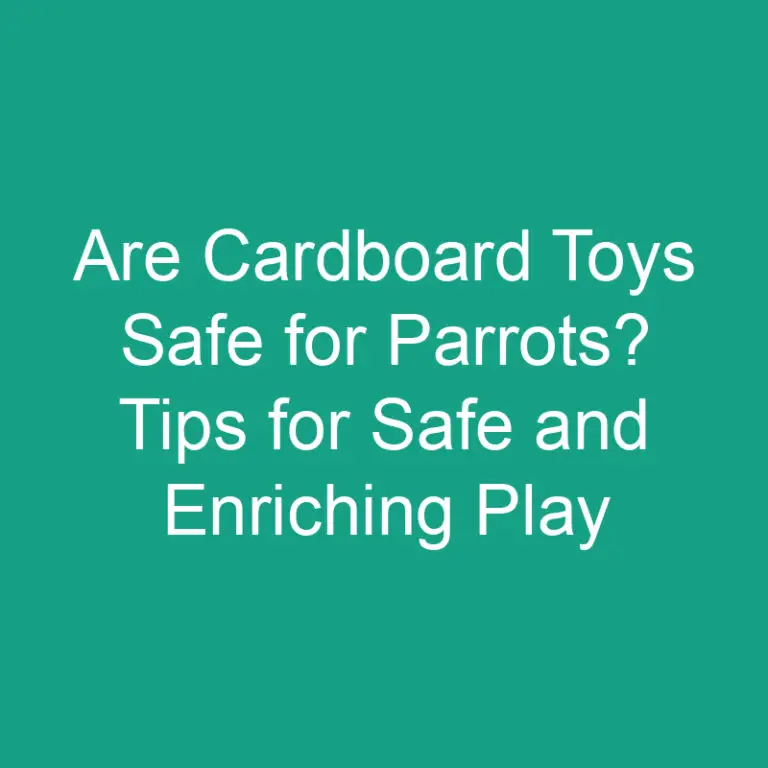Are Cardboard Toys Safe for Parrots? Tips for Safe and Enriching Play