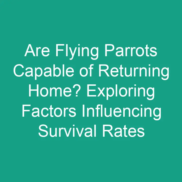 Are Flying Parrots Capable of Returning Home? Exploring Factors Influencing Survival Rates