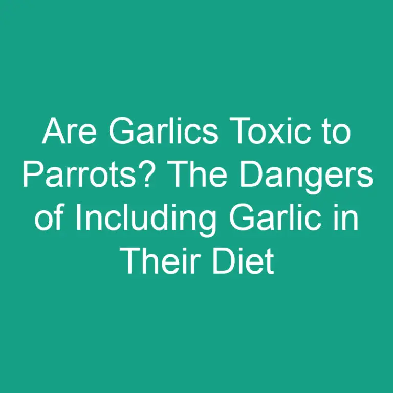 Are Garlics Toxic to Parrots? The Dangers of Including Garlic in Their Diet