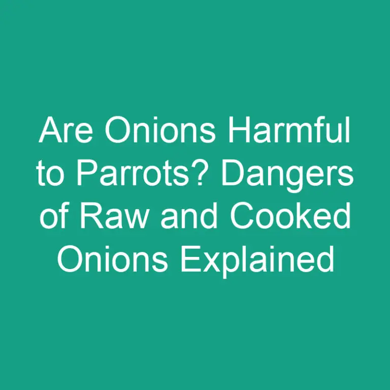 Are Onions Harmful to Parrots? Dangers of Raw and Cooked Onions