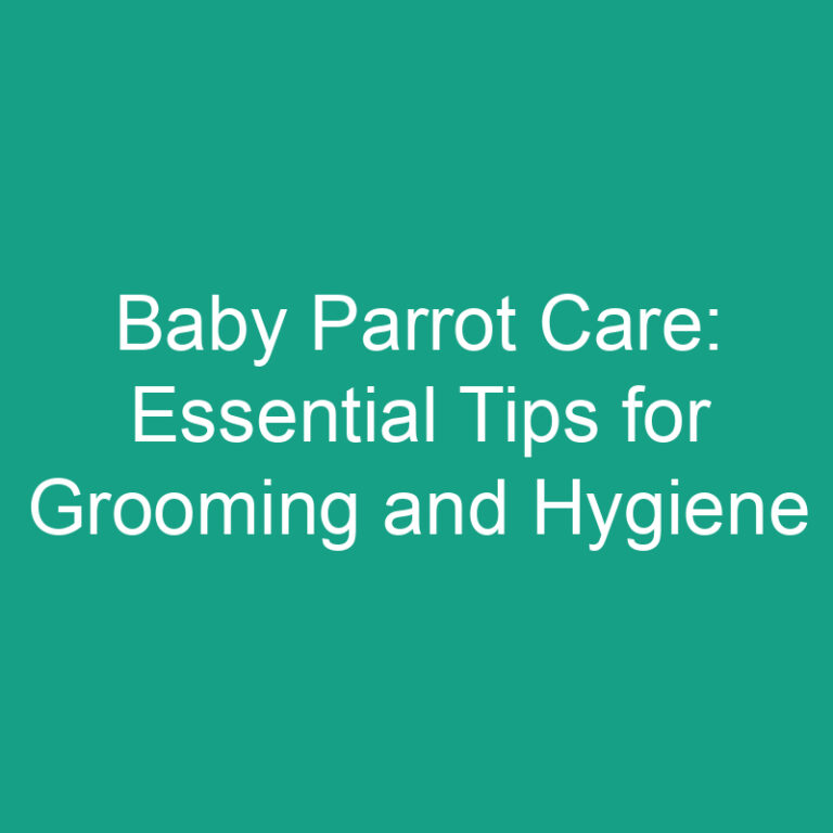 Baby Parrot Care: Essential Tips for Grooming and Hygiene