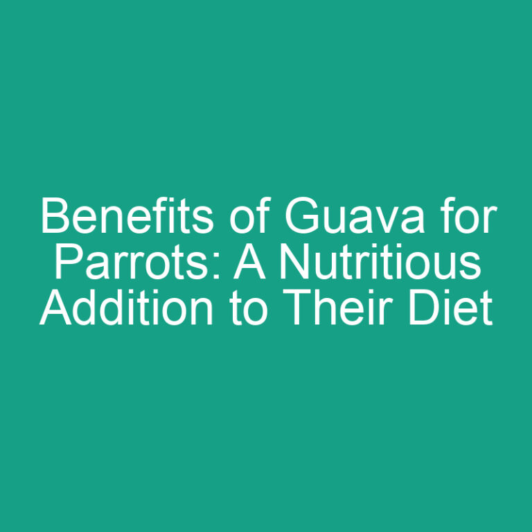 Benefits of Guava for Parrots: A Nutritious Addition to Their Diet