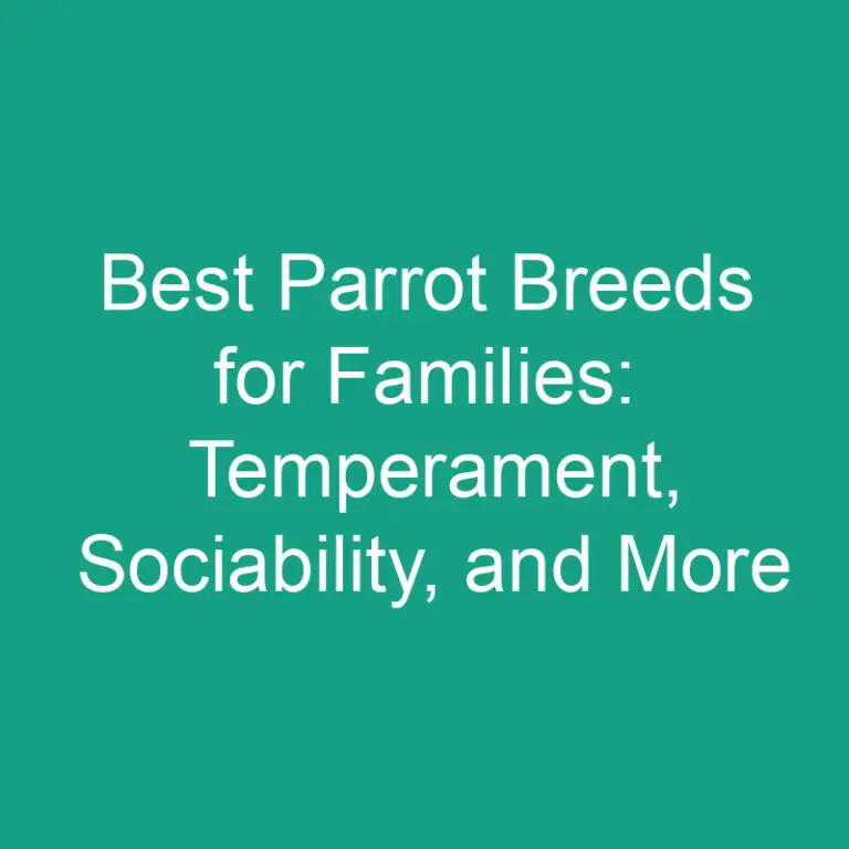 Best Parrot Breeds for Families: Temperament, Sociability, and More