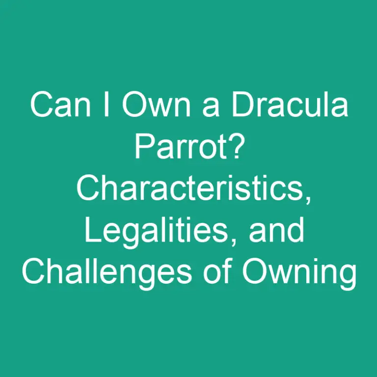 Can I Own a Dracula Parrot? Characteristics, Legalities, and Challenges of Owning