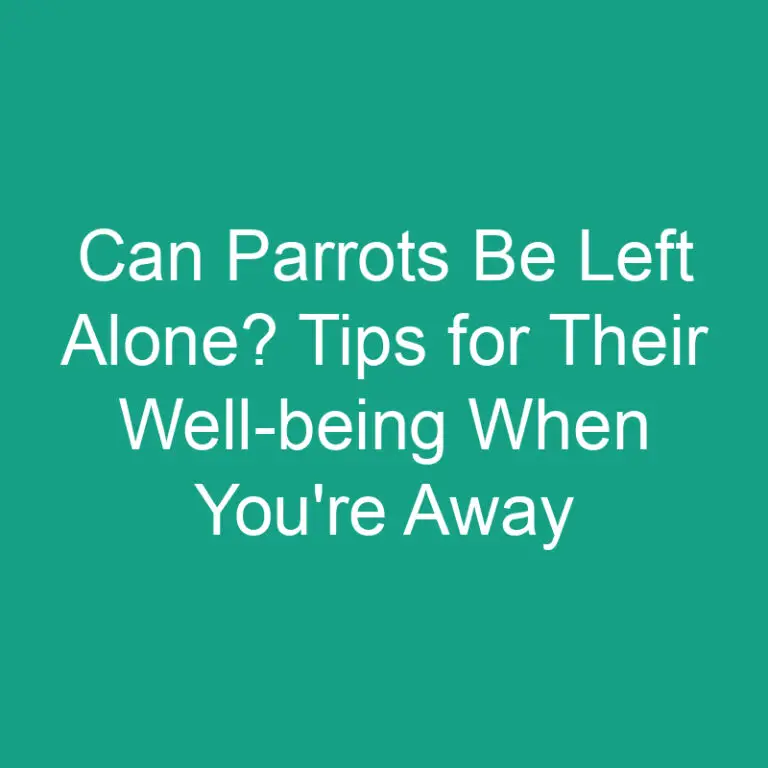 Can Parrots Be Left Alone? Tips for Their Well-being When You’re Away