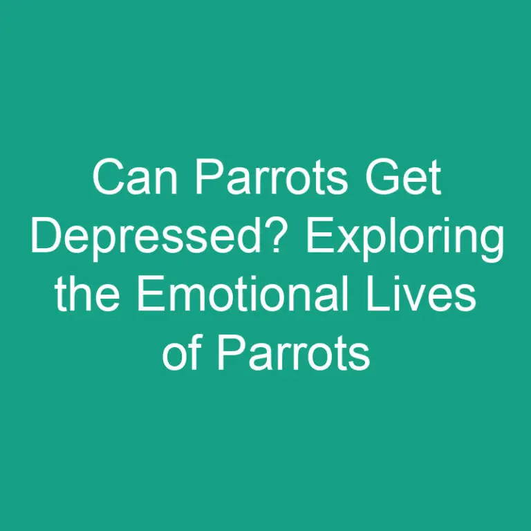 Can Parrots Get Depressed? Exploring the Emotional Lives of Parrots