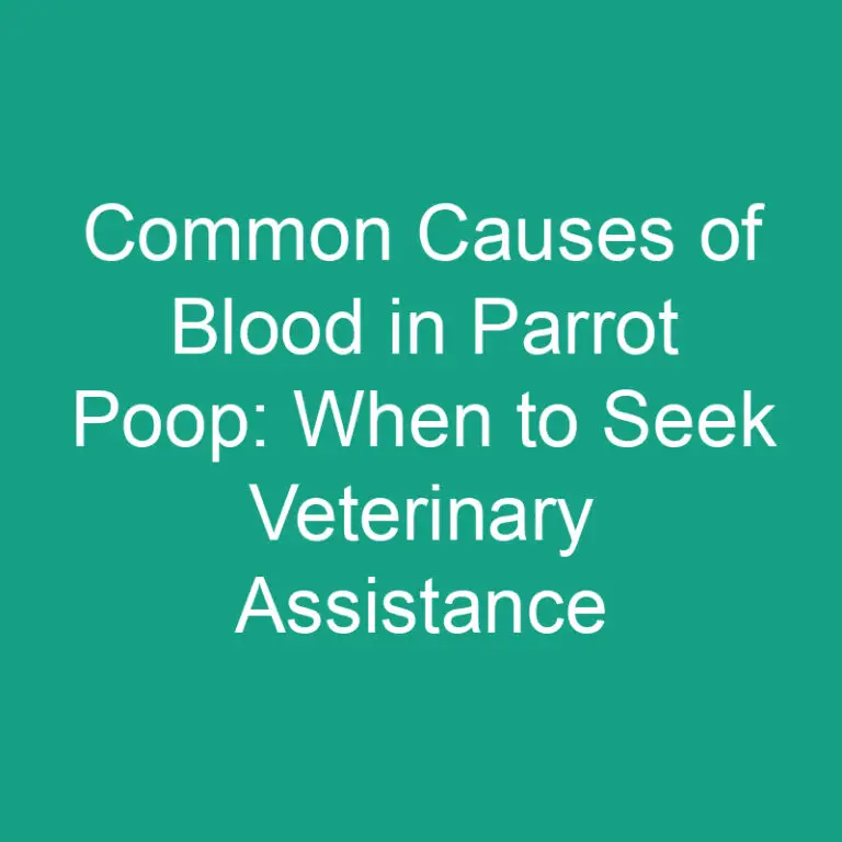 Common Causes of Blood in Parrot Poop: When to Seek Veterinary Assistance