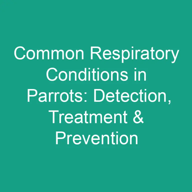 Common Respiratory Conditions in Parrots: Detection, Treatment & Prevention