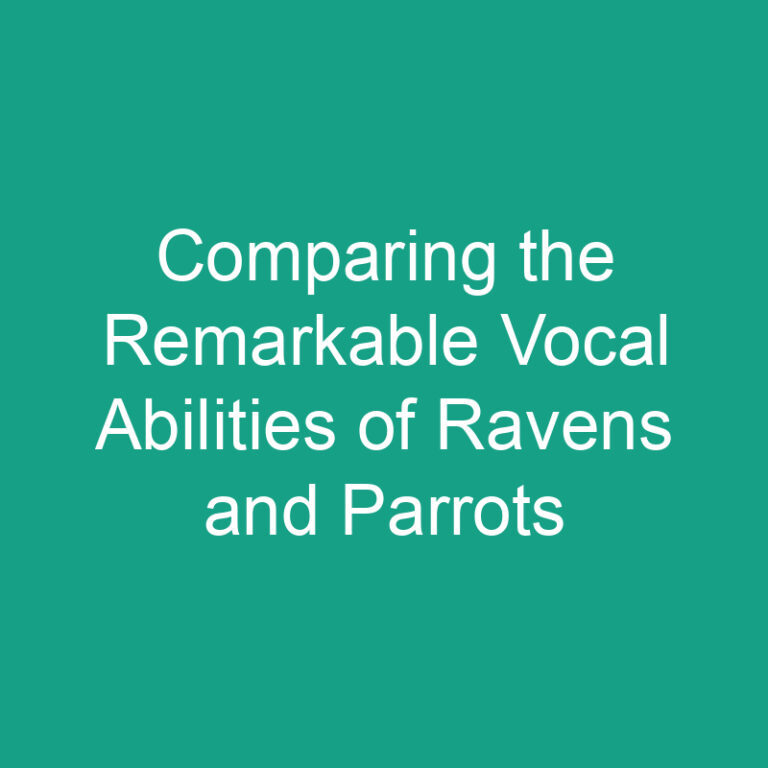 Comparing the Remarkable Vocal Abilities of Ravens and Parrots