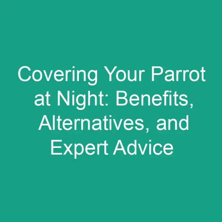 Covering Your Parrot at Night: Benefits, Alternatives, and Expert Advice