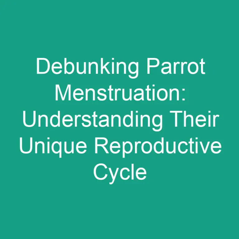 Debunking Parrot Menstruation: Their Unique Reproductive Cycle