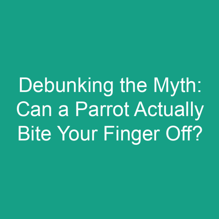 Debunking the Myth: Can a Parrot Actually Bite Your Finger Off?
