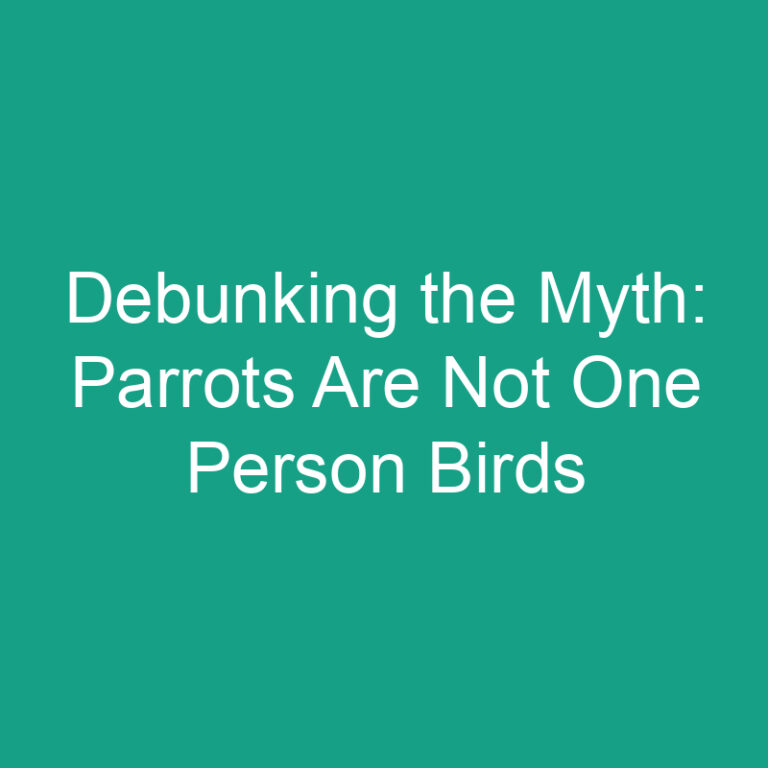 Debunking the Myth: Parrots Are Not One Person Birds