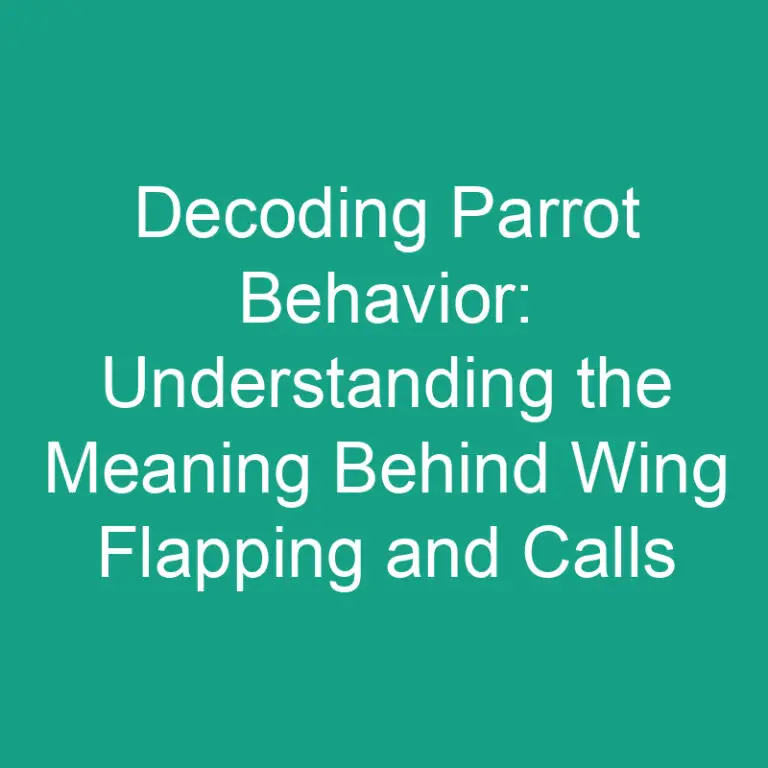 Decoding Parrot Behavior: Understanding the Meaning Behind Wing Flapping and Calls