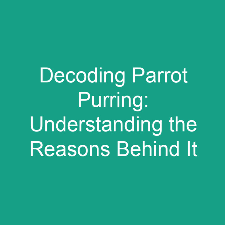 Decoding Parrot Purring: Understanding the Reasons Behind It