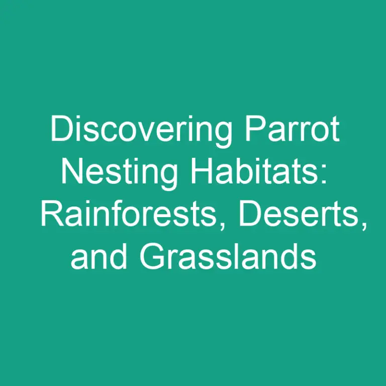 Discovering Parrot Nesting Habitats: Rainforests, Deserts, and Grasslands
