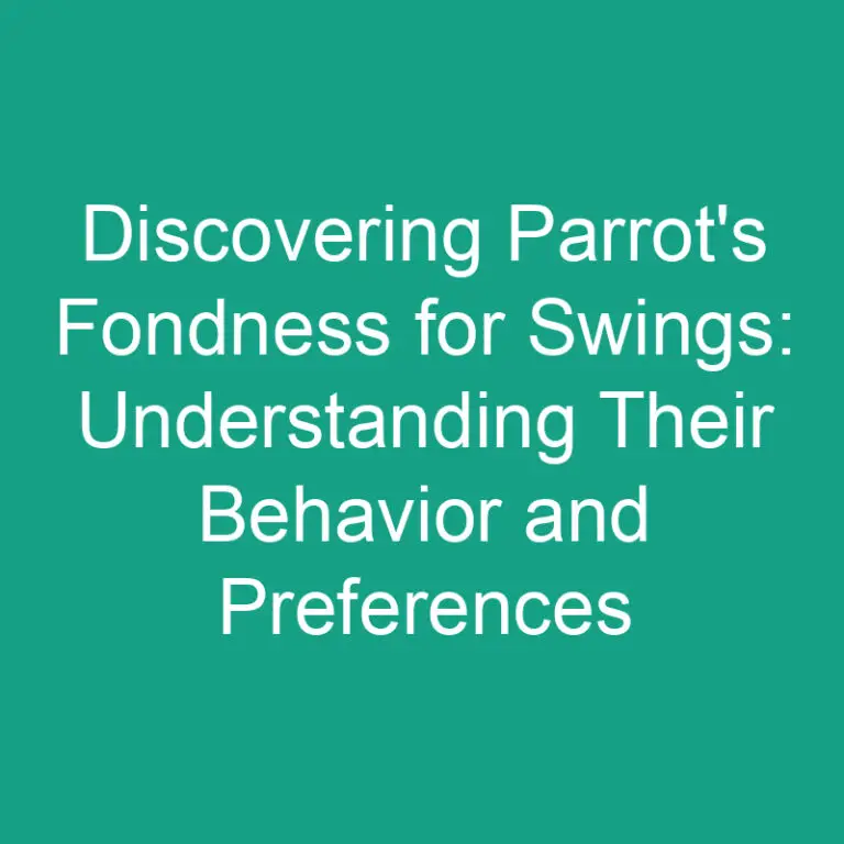 Discovering Parrot’s Fondness for Swings: Understanding Their Behavior and Preferences