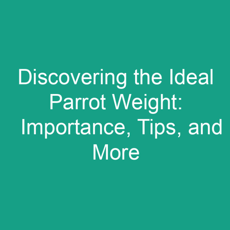 Discovering the Ideal Parrot Weight: Importance, Tips, and More
