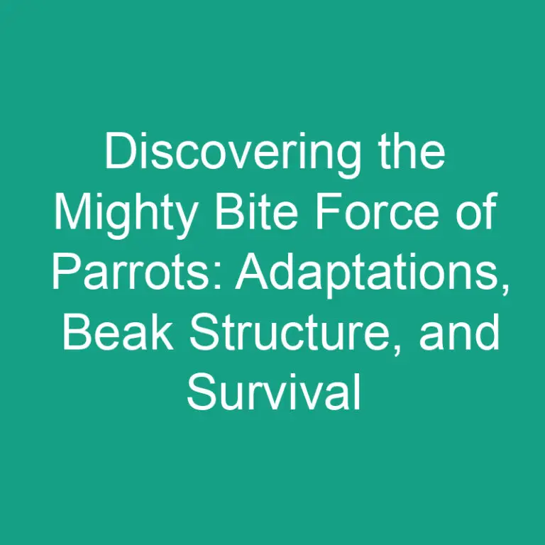 Discovering the Mighty Bite Force of Parrots: Adaptations, Beak Structure, and Survival Tactics