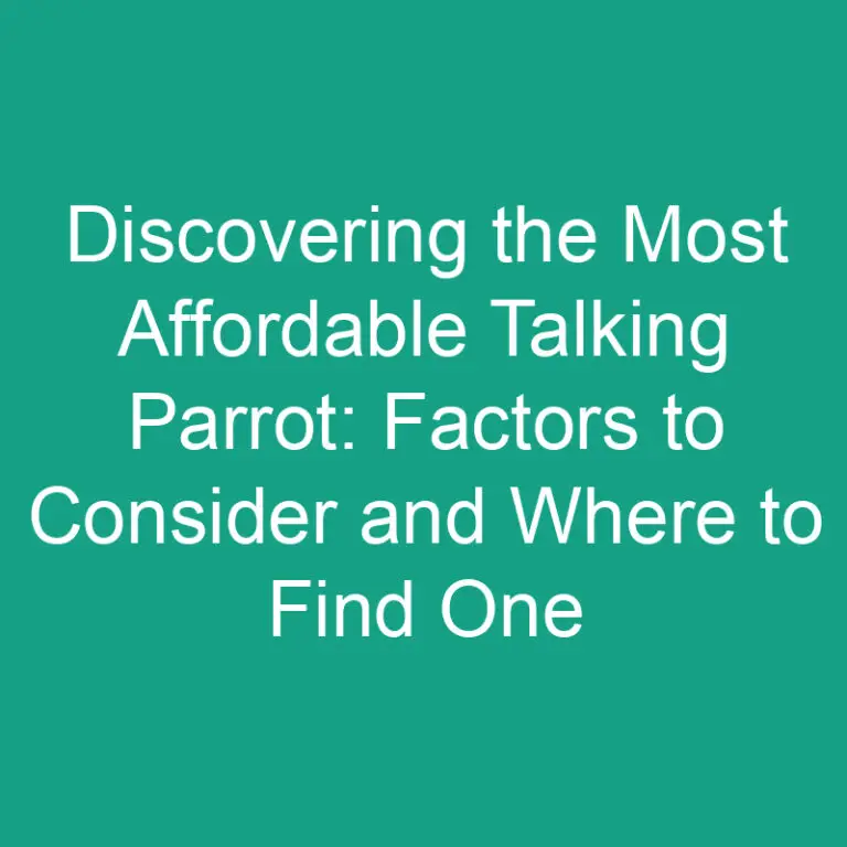 Discovering the Most Affordable Talking Parrot: Factors to Consider and Where to Find One