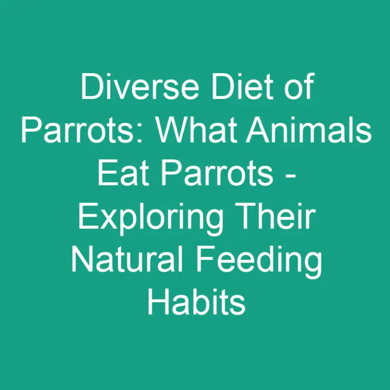 Diverse Diet of Parrots: What Animals Eat Parrots – Exploring Their Natural Feeding Habits