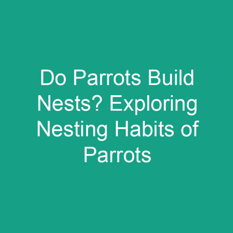 Do Parrots Build Nests? Exploring Nesting Habits of Parrots