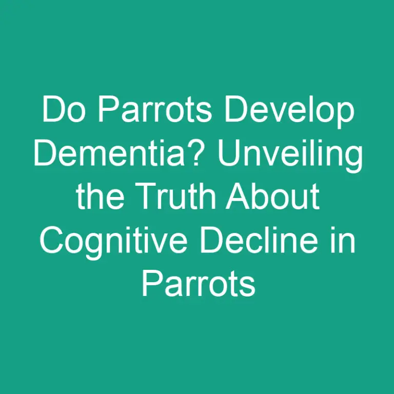 Do Parrots Develop Dementia? Cognitive Decline in Parrots