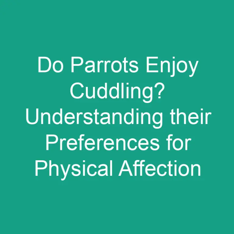Do Parrots Enjoy Cuddling? Understanding their Preferences for Physical Affection
