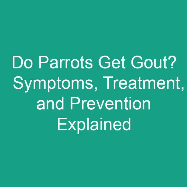 Do Parrots Get Gout? Symptoms, Treatment, and Prevention Explained