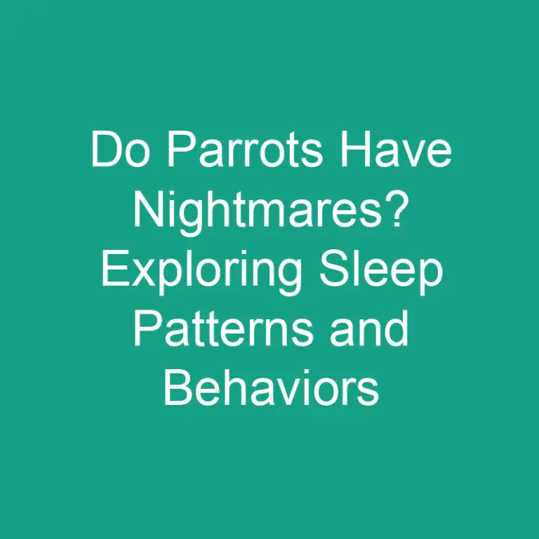 Do Parrots Have Nightmares? Exploring Sleep Patterns and Behaviors